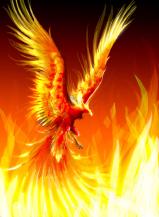 PhoenixBodyAndPaint Logo